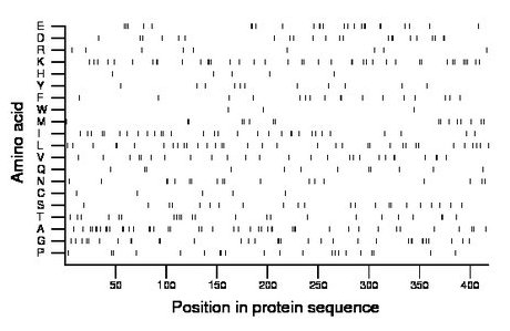 amino acid map