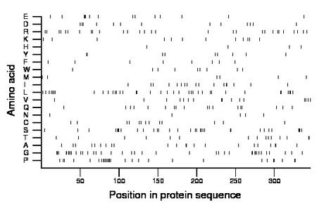 amino acid map