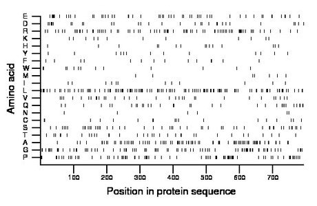 amino acid map