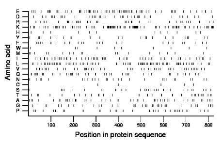 amino acid map