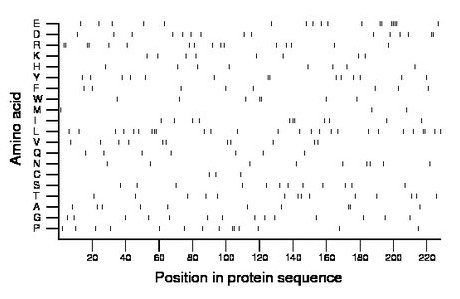 amino acid map