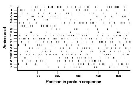 amino acid map