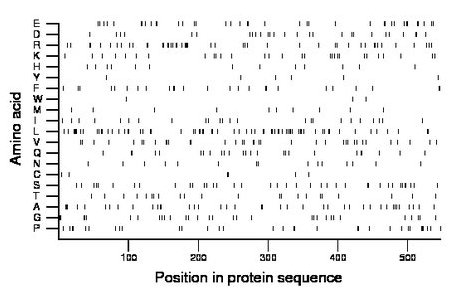 amino acid map