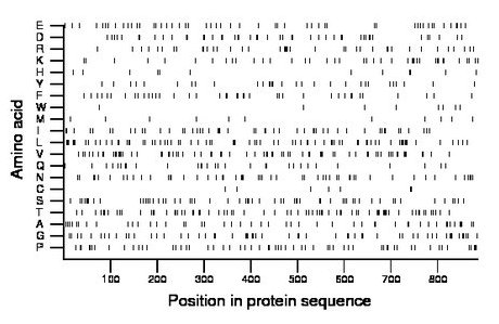 amino acid map