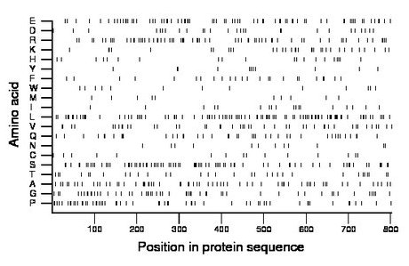 amino acid map