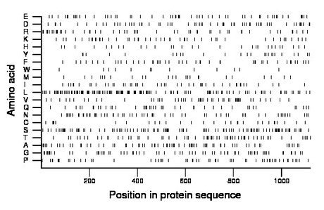 amino acid map