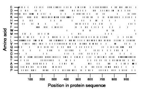 amino acid map