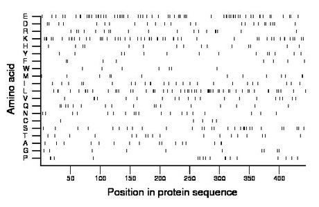 amino acid map