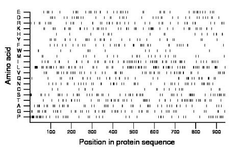 amino acid map