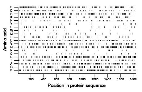 amino acid map