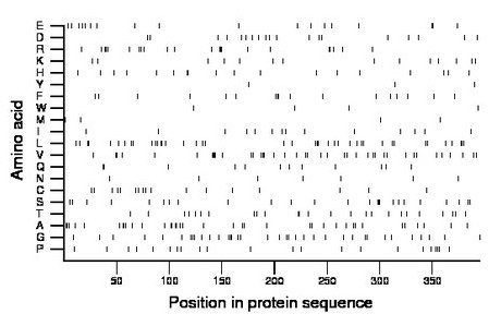 amino acid map