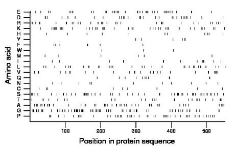 amino acid map