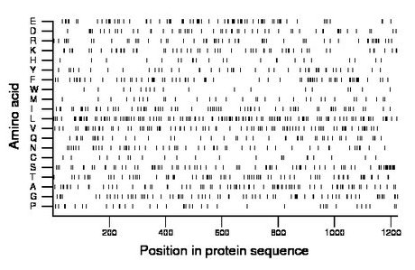 amino acid map