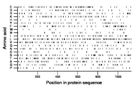 amino acid map