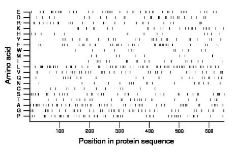 amino acid map