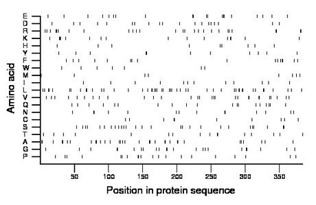 amino acid map