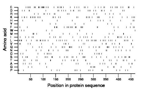 amino acid map