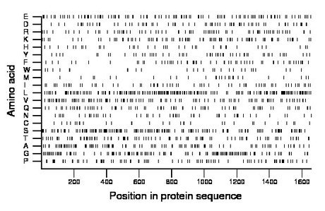 amino acid map