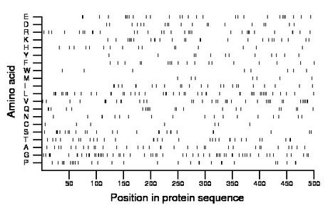 amino acid map