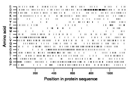 amino acid map