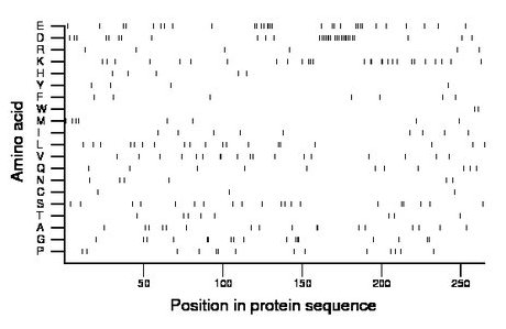 amino acid map