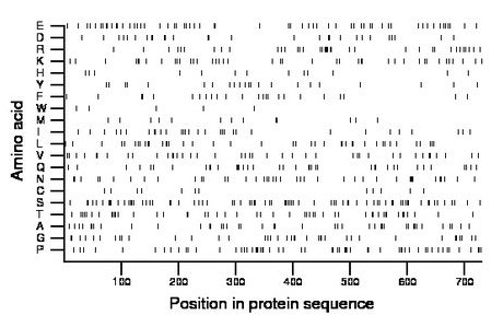 amino acid map