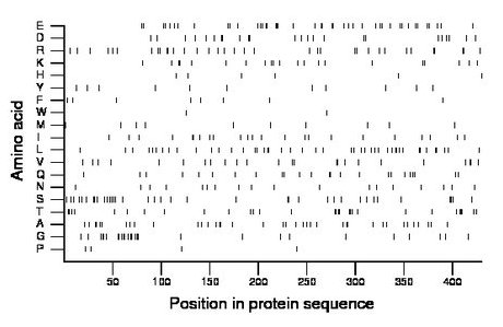 amino acid map