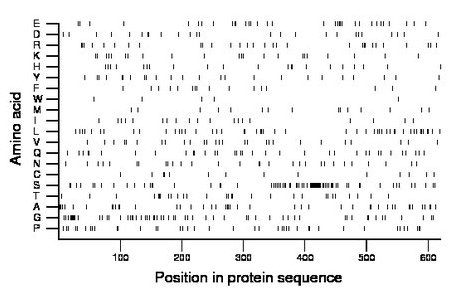 amino acid map