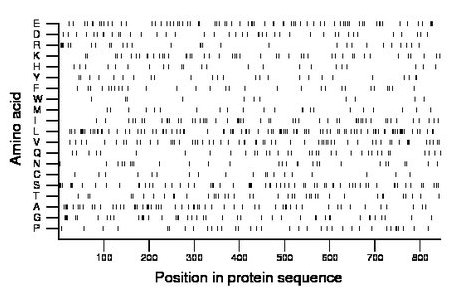 amino acid map