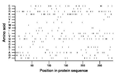 amino acid map