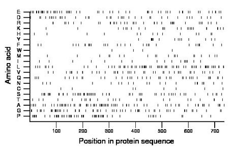 amino acid map