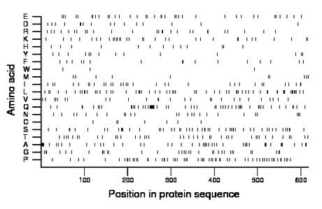 amino acid map