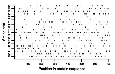 amino acid map