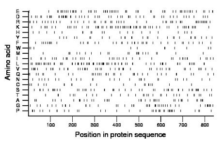 amino acid map