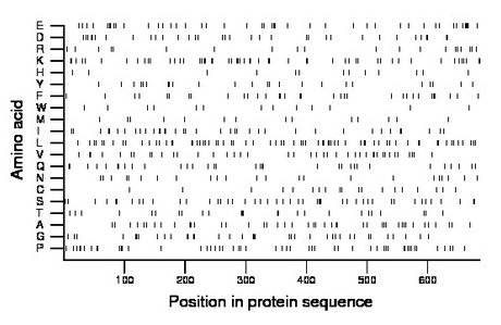 amino acid map