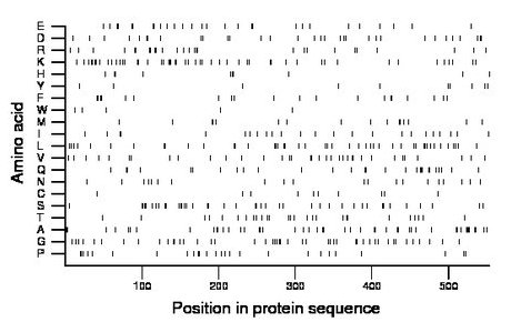 amino acid map