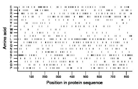 amino acid map