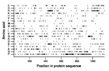 amino acid map