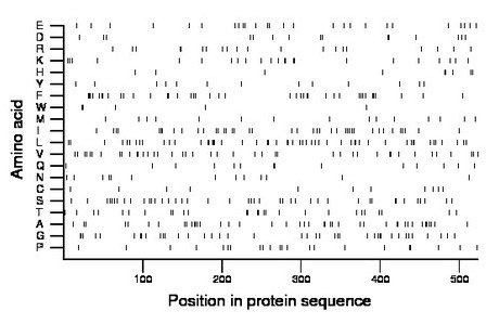 amino acid map