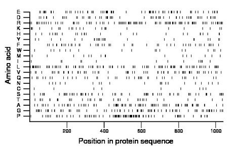 amino acid map