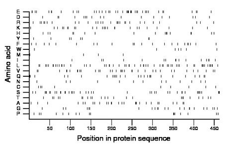 amino acid map