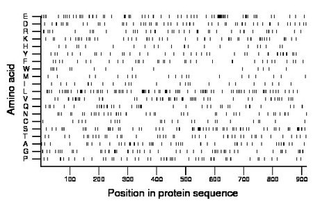 amino acid map