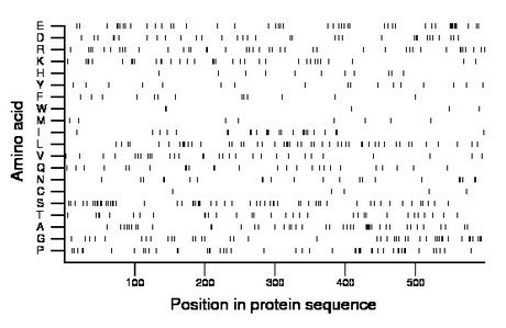 amino acid map