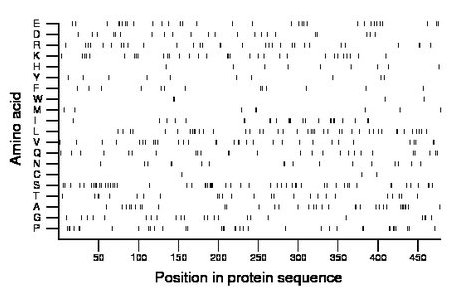 amino acid map