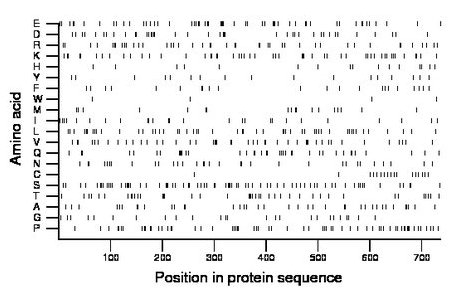 amino acid map