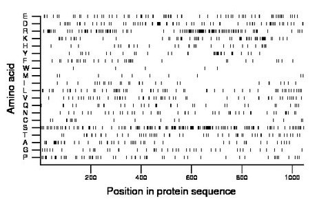 amino acid map