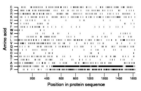 amino acid map