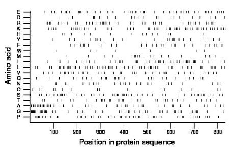 amino acid map