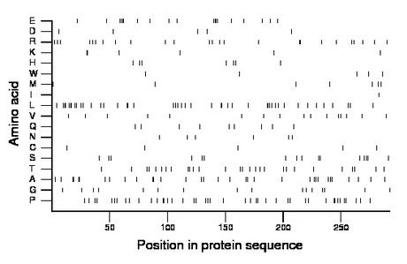 amino acid map