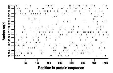 amino acid map